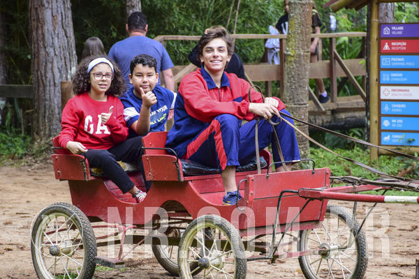 Buy your photos of the eventNR Ol� 6� Ano  22 a 24/11/19 on Fotop