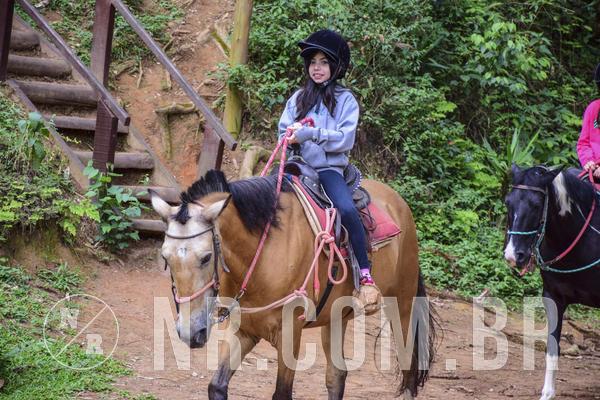 Buy your photos of the eventNR Ol� 6� Ano  22 a 24/11/19 on Fotop