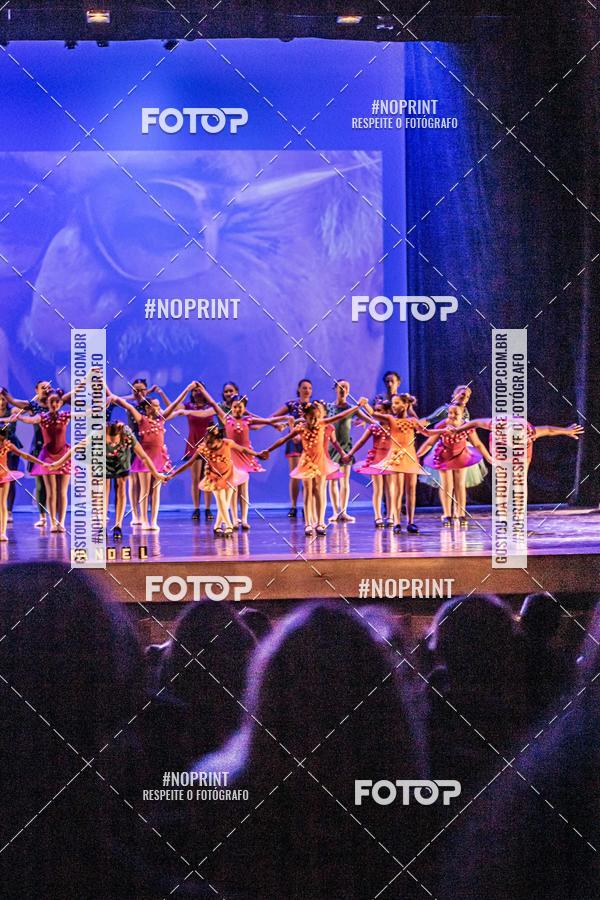 Buy your photos of the eventManoel - Arte.Dana on Fotop