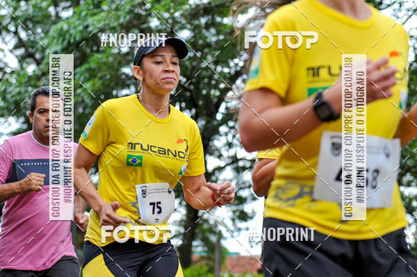 Buy your photos of the event1� CORRIDA PEDESTRE DO 15� BATALH�O ROLANDIA on Fotop