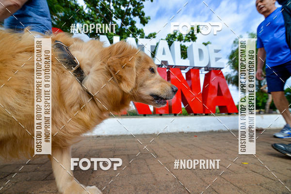 Buy your photos of the eventCORRIDA DO BEM - LONDRINA 2019 on Fotop