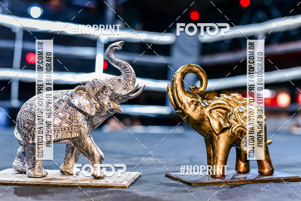 Buy your photos of the eventWAR Muay Thai Fight (24/11/2019) on Fotop