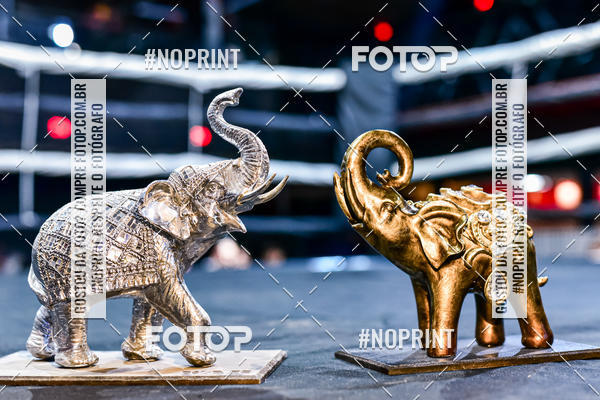 Buy your photos of the eventWAR Muay Thai Fight (24/11/2019) on Fotop