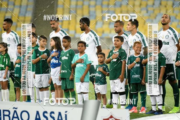 Compre suas fotos do eventoFluminense x Palmeiras  Maracan - 28/11/2019 no Fotop