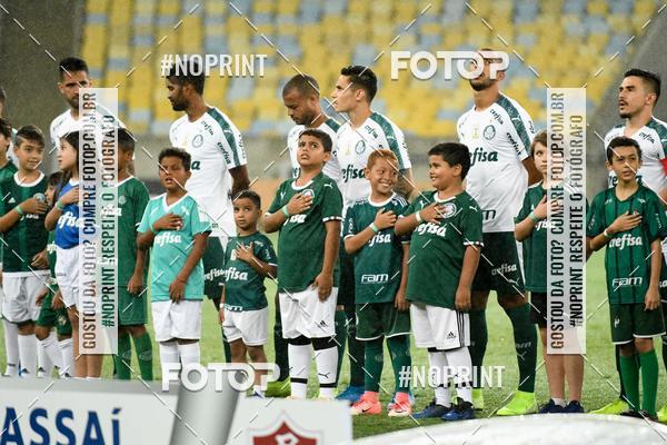 Compre suas fotos do eventoFluminense x Palmeiras  Maracan - 28/11/2019 no Fotop