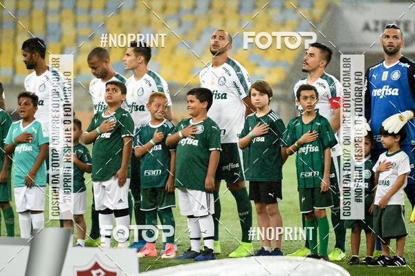 Compre suas fotos do eventoFluminense x Palmeiras  Maracan - 28/11/2019 no Fotop