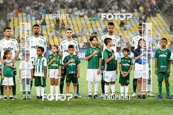 Compre suas fotos do eventoFluminense x Palmeiras  Maracan - 28/11/2019 no Fotop