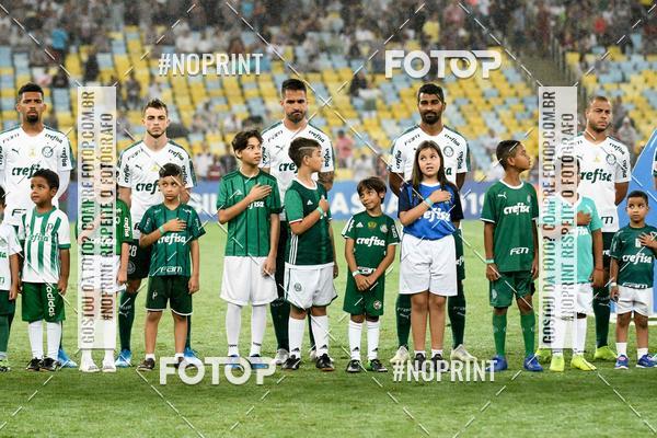 Compre suas fotos do eventoFluminense x Palmeiras  Maracan - 28/11/2019 no Fotop