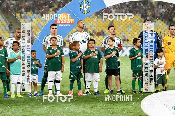 Compre suas fotos do eventoFluminense x Palmeiras  Maracan - 28/11/2019 no Fotop