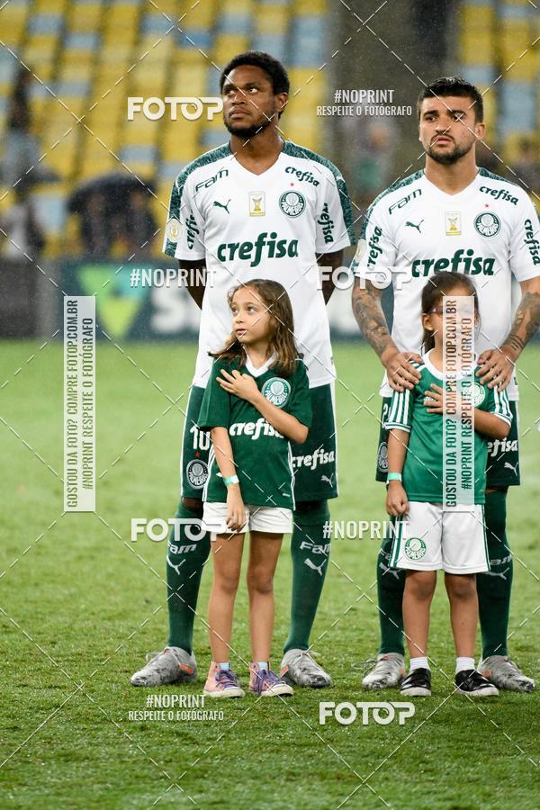 Compre suas fotos do eventoFluminense x Palmeiras  Maracan - 28/11/2019 no Fotop