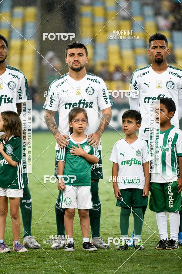 Compre suas fotos do eventoFluminense x Palmeiras  Maracan - 28/11/2019 no Fotop