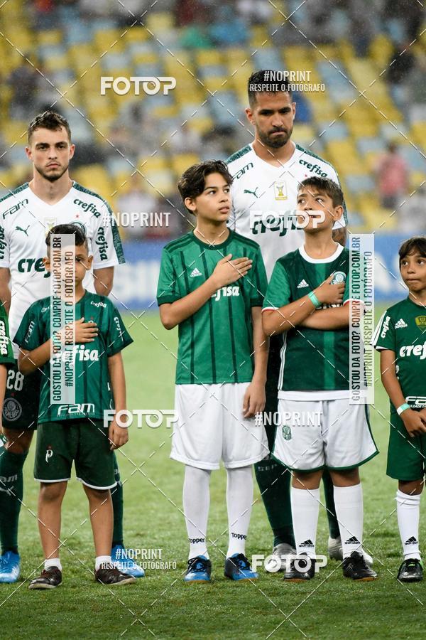 Compre suas fotos do eventoFluminense x Palmeiras  Maracan - 28/11/2019 no Fotop