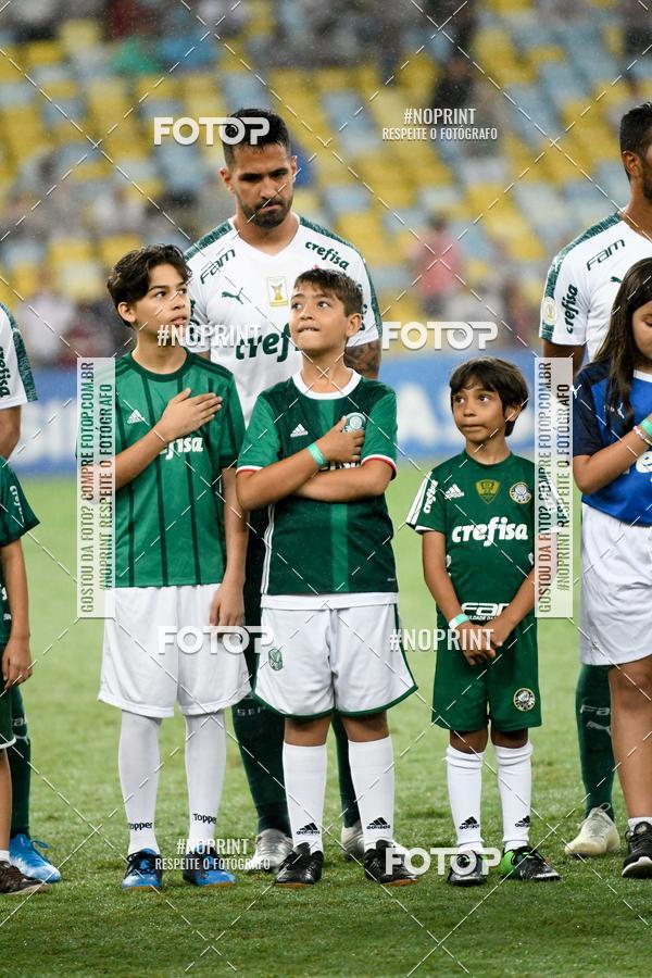 Compre suas fotos do eventoFluminense x Palmeiras  Maracan - 28/11/2019 no Fotop