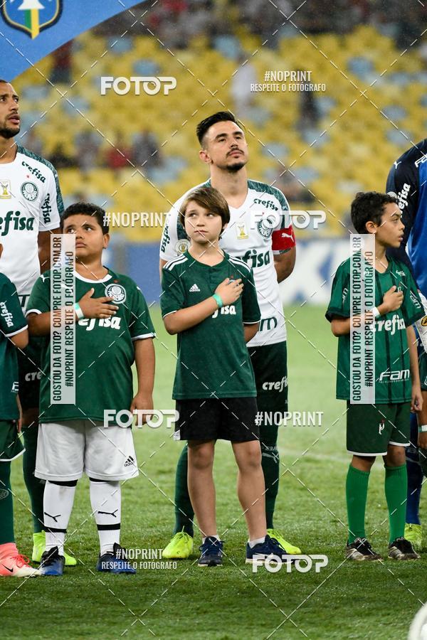 Compre suas fotos do eventoFluminense x Palmeiras  Maracan - 28/11/2019 no Fotop