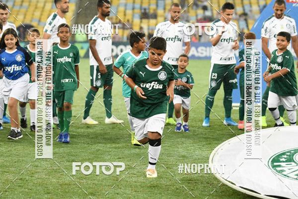 Compre suas fotos do eventoFluminense x Palmeiras  Maracan - 28/11/2019 no Fotop