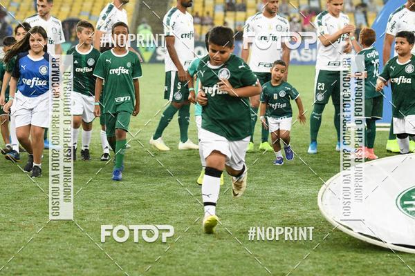 Compre suas fotos do eventoFluminense x Palmeiras  Maracan - 28/11/2019 no Fotop