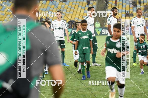 Compre suas fotos do eventoFluminense x Palmeiras  Maracan - 28/11/2019 no Fotop