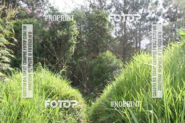 Buy your photos of the eventCORRIDA DESAFIO MOVA MENTE on Fotop