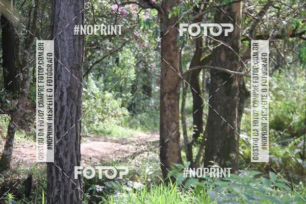 Buy your photos of the eventCORRIDA DESAFIO MOVA MENTE on Fotop