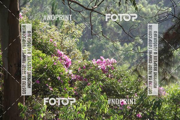 Buy your photos of the eventCORRIDA DESAFIO MOVA MENTE on Fotop