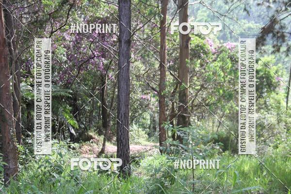 Buy your photos of the eventCORRIDA DESAFIO MOVA MENTE on Fotop