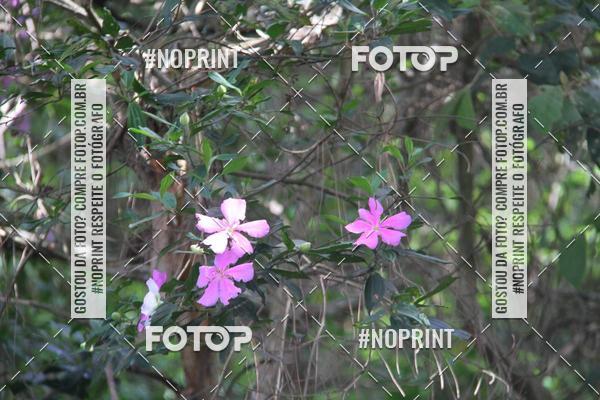 Buy your photos of the eventCORRIDA DESAFIO MOVA MENTE on Fotop