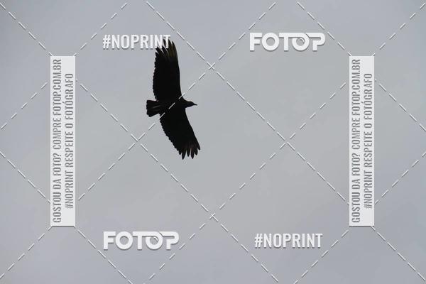 Buy your photos of the eventCORRIDA DESAFIO MOVA MENTE on Fotop