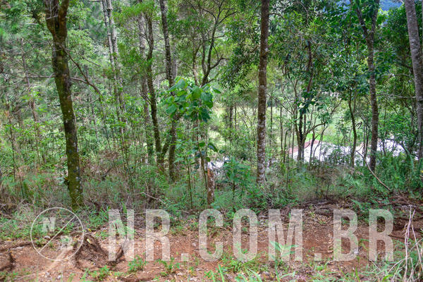 Buy your photos of the eventNR Fun - Resort Sto A. do Pinhal 27 a 01/12/19 on Fotop