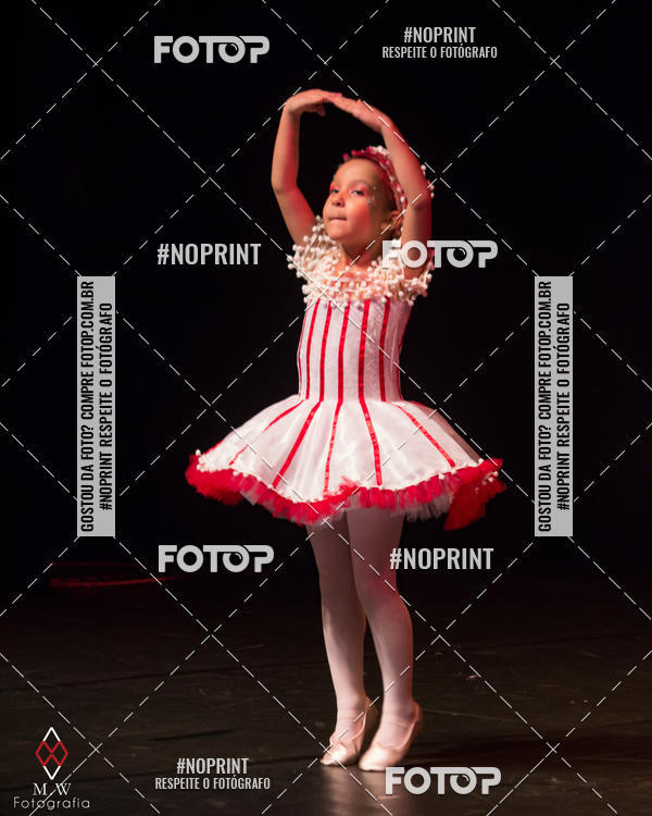 Buy your photos of the eventO Circo - Studio Talita Brasil on Fotop