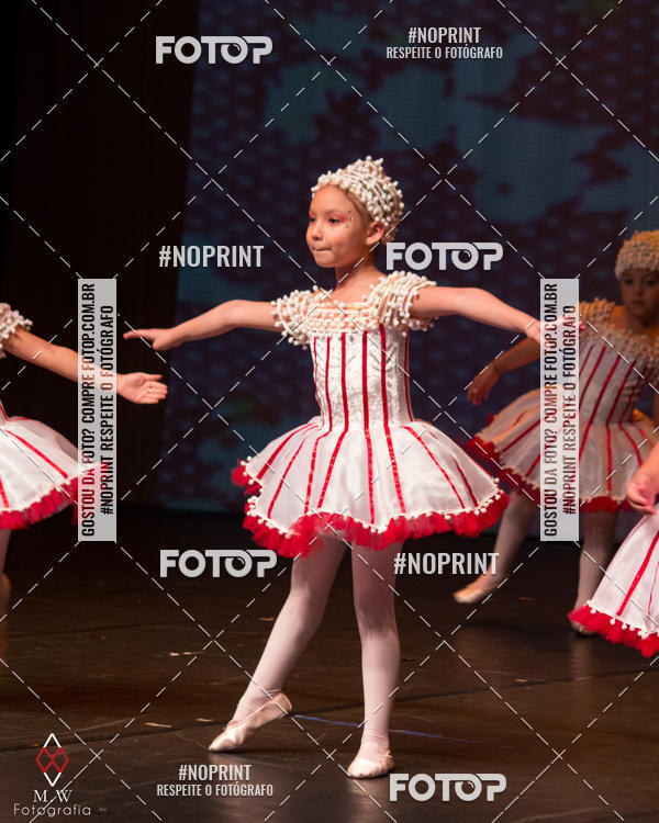 Buy your photos of the eventO Circo - Studio Talita Brasil on Fotop