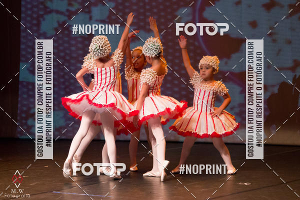 Buy your photos of the eventO Circo - Studio Talita Brasil on Fotop