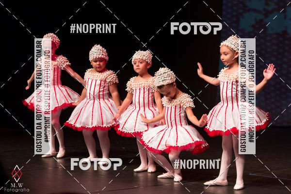 Buy your photos of the eventO Circo - Studio Talita Brasil on Fotop