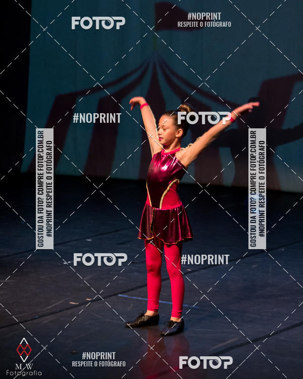 Buy your photos of the eventO Circo - Studio Talita Brasil on Fotop