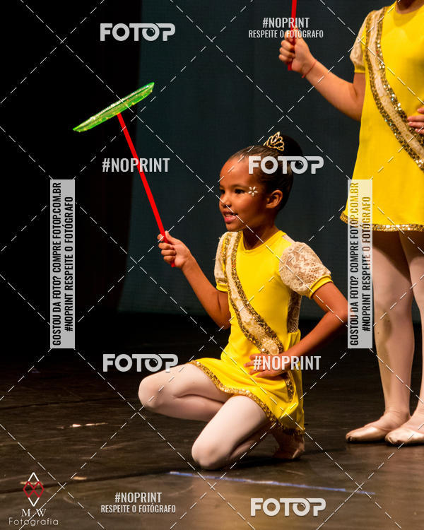 Buy your photos of the eventO Circo - Studio Talita Brasil on Fotop
