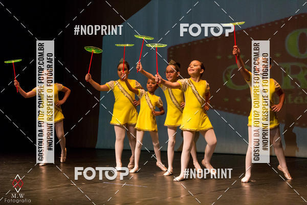 Buy your photos of the eventO Circo - Studio Talita Brasil on Fotop