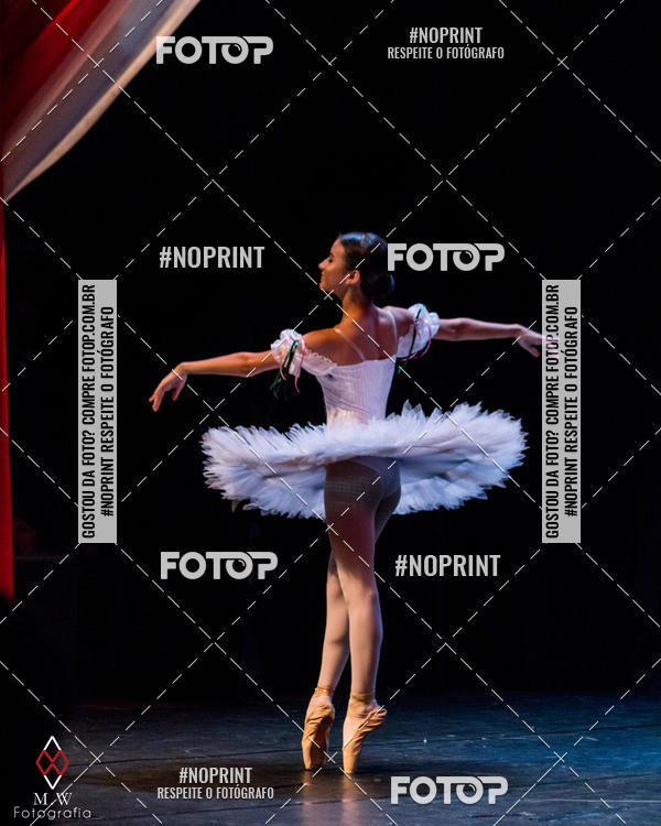 Buy your photos of the eventO Circo - Studio Talita Brasil on Fotop