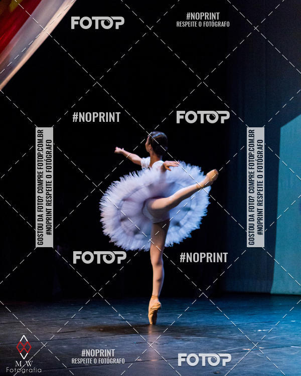 Buy your photos of the eventO Circo - Studio Talita Brasil on Fotop