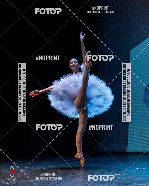 Buy your photos of the eventO Circo - Studio Talita Brasil on Fotop