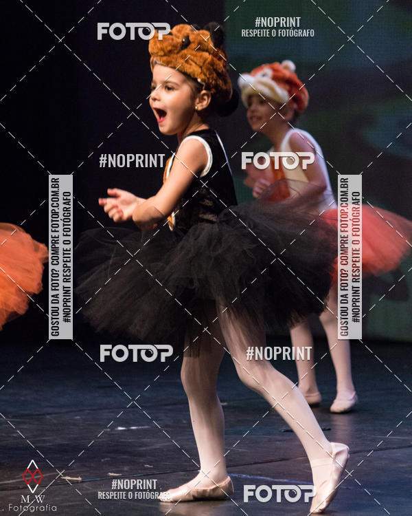 Buy your photos of the eventO Circo - Studio Talita Brasil on Fotop