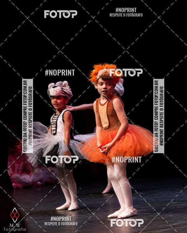 Buy your photos of the eventO Circo - Studio Talita Brasil on Fotop