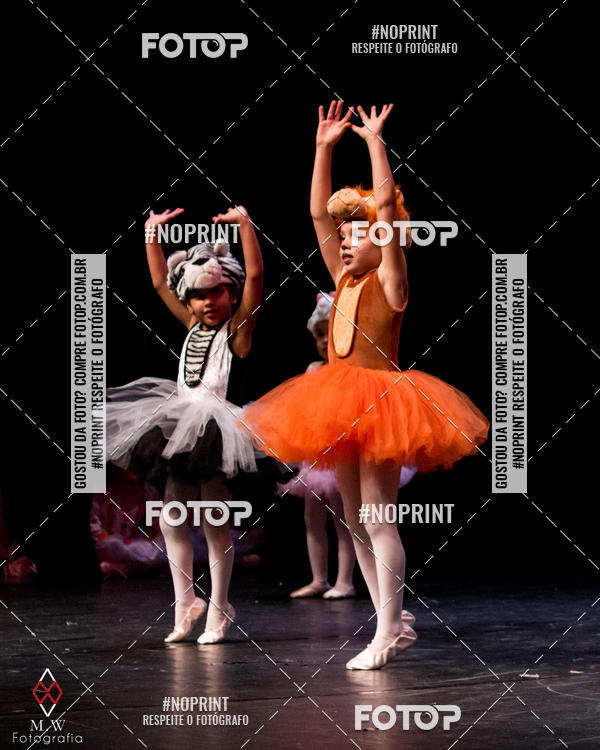 Buy your photos of the eventO Circo - Studio Talita Brasil on Fotop