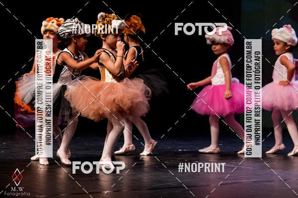 Buy your photos of the eventO Circo - Studio Talita Brasil on Fotop