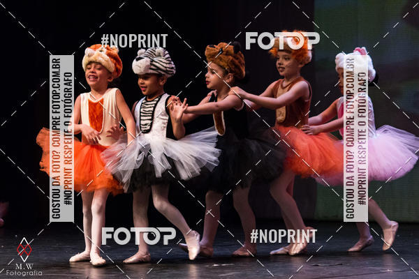 Buy your photos of the eventO Circo - Studio Talita Brasil on Fotop