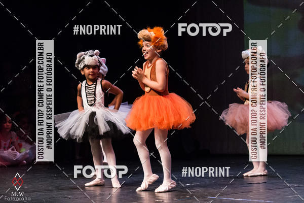 Buy your photos of the eventO Circo - Studio Talita Brasil on Fotop