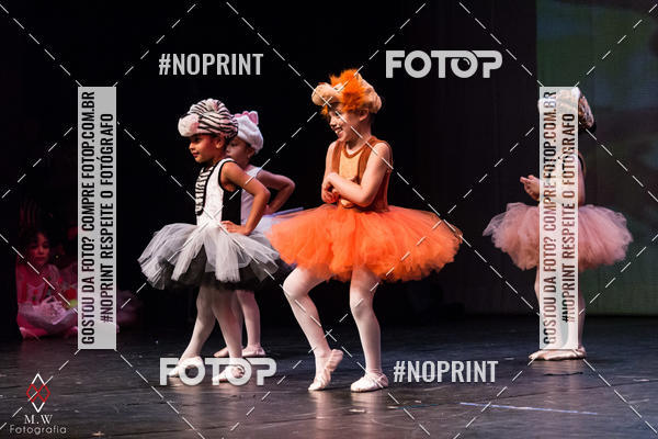 Buy your photos of the eventO Circo - Studio Talita Brasil on Fotop