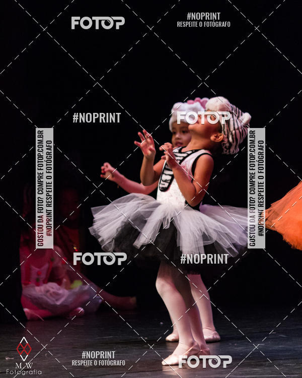 Buy your photos of the eventO Circo - Studio Talita Brasil on Fotop