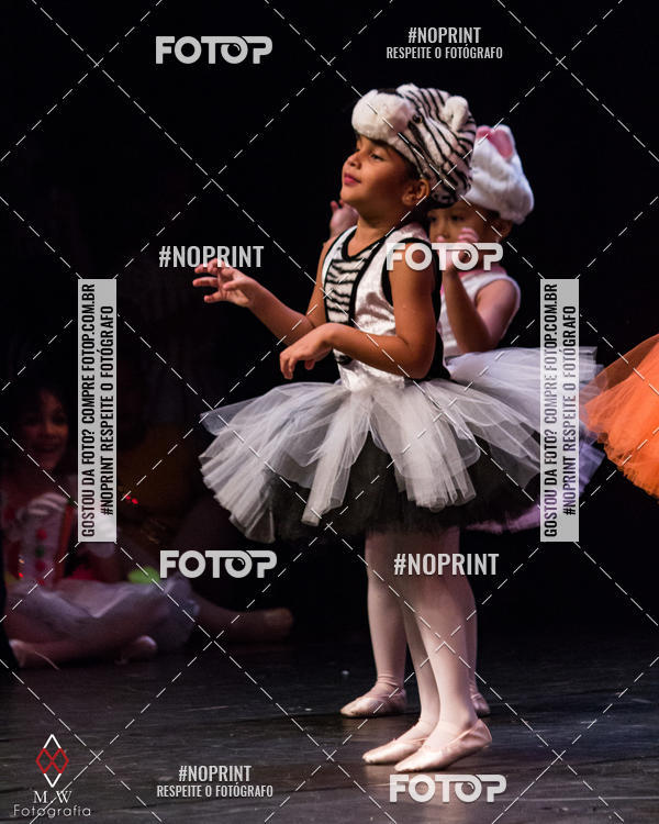 Buy your photos of the eventO Circo - Studio Talita Brasil on Fotop