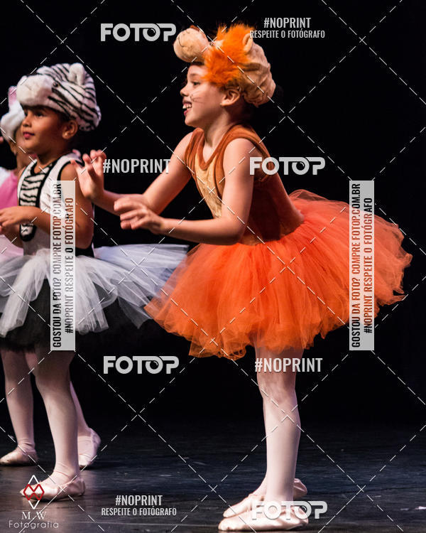 Buy your photos of the eventO Circo - Studio Talita Brasil on Fotop
