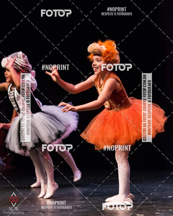 Buy your photos of the eventO Circo - Studio Talita Brasil on Fotop