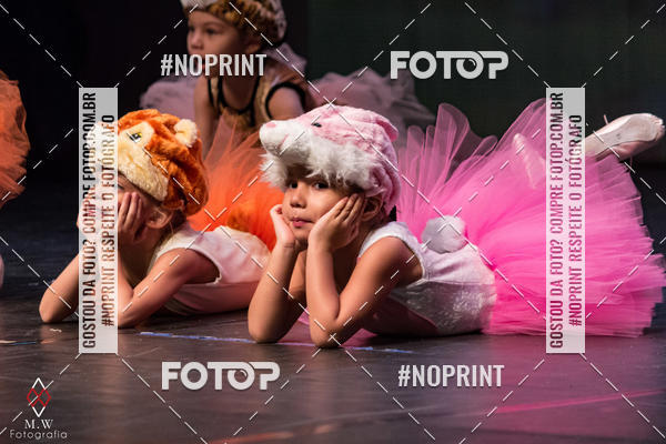 Buy your photos of the eventO Circo - Studio Talita Brasil on Fotop